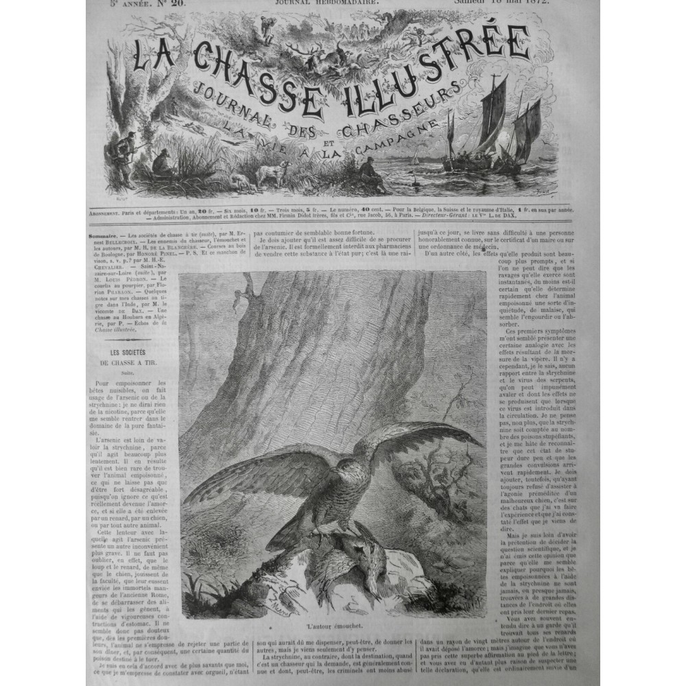 1872 CHASSE AUTOUR EMOUCHET RAPACE PROIE FAUCONNERIE CHASSEUR ENNEMI