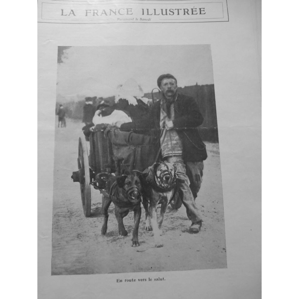 1914 FI ATTELAGE CHIEN CHARRETTE ROUTE SALUT