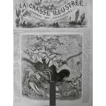 1872 LOUTRE RENARD EAUX RAVAGE DEGAT MARECAGE NOURRITURE POISSON