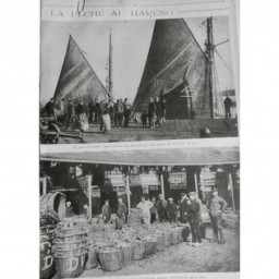 1922 NP HARENG BELGIQUE PECHE PECHEUR QUAI OSTENDE CARGAISON POISSON GLACE