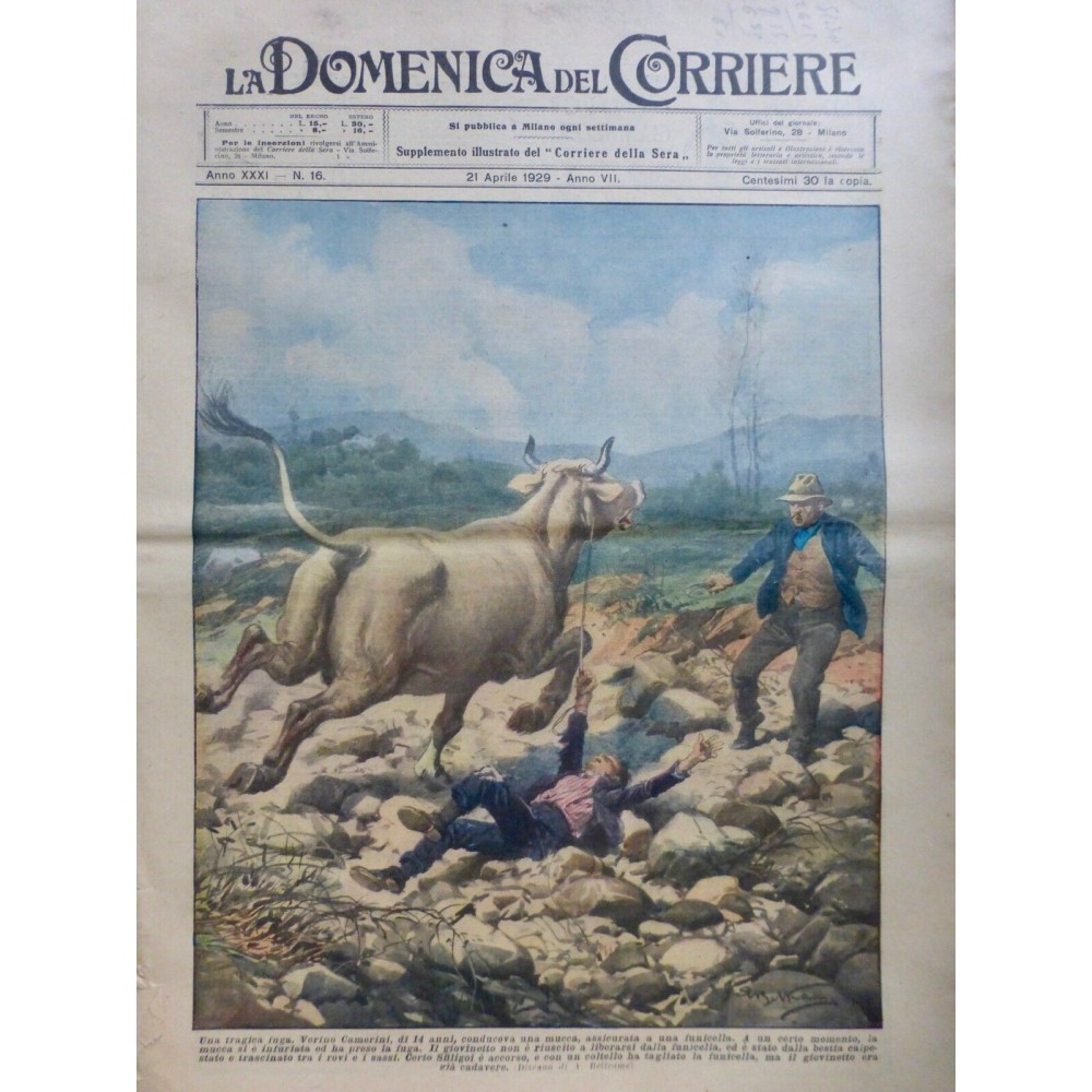 1929 DC ACCIDENT ENFANT VACHE PANIQUE FUITE PIETINER CORDE VERINO CAMERINI