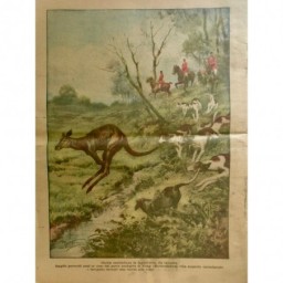 1925 DC CHASSE AUSTRALIENNE ANGLETERRE EVASION KANGOUROU PAR ZOOLOGIQUE