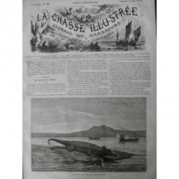 1872 LE NIL EGYPTE CHASSE CAÏMAN CROCODILE OISEAU PASSAGE CHARYBDE 5 JOUNAUX