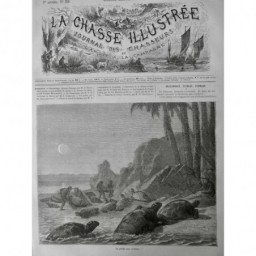 1872 PÊCHE TORTUE GEANTE MER PLAGE SABLE BRACONNIER NOCTURNE