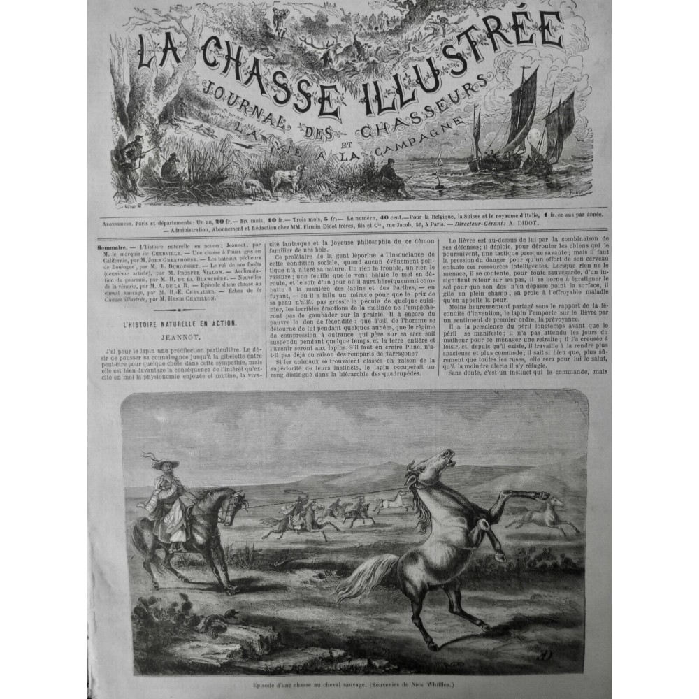 1872 CHEVAL SAUVAGE CHASSE NICK WHIFFLES CORDE PEAU BOEUF COU MUSTANG