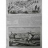 1872 CHEVAL SAUVAGE CHASSE NICK WHIFFLES CORDE PEAU BOEUF COU MUSTANG