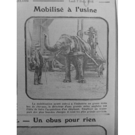 1916 ELEPHANTS MOBILISE USINE TRANSPORT CHARGES LOURDES