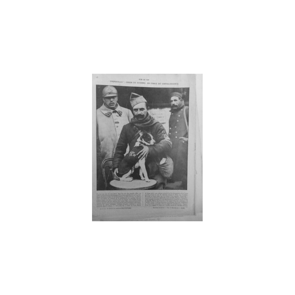 1917 CHIENS GUERRE FRIPOUILLE CONGE CONVALESCENCE