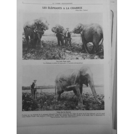 1916 ELEPHANTS CIRQUE EMPLOYES LABOURER CHAMPS REMPLAÇANT CHEVAUX BOEUFS