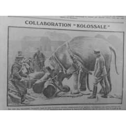 1917 ELEPHANTS TRAVAILLANT ARMEE ALLEMANDE TRANSPORT ARBRES TRANCHEES