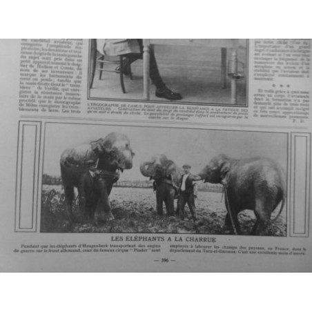 1916 ELEPHANTS CHARRUE LABOURER CHAMPS TARN-ET-GARONNE EXCELENTE MAIN D'OEUVRE