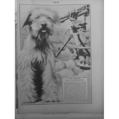 1917 CHIENS GUERRE GARDIEN MITRAILLEUSE PLISS RECU COLLIER HONNEUR SAUVE ENGIN