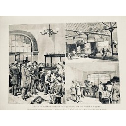 1884 CHOLERA PARIS DESINFECTION INFIRMIERE VICTIME MARSEILLE HOPITAL 3 JOURNAUX