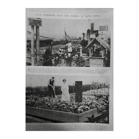 1914 1918 JARDIN TOITS NEW YORK POTAGER PLANTE FORTIFICATIONS PARIS 2 JOURNAUX