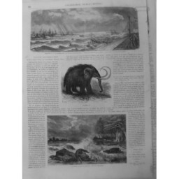 1862 MAMMOUTH SQUELLETTE DECOUVERTE FOSSILE 2 JOURNAUX