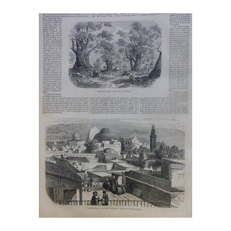 1851 I LIEUX SAINTS JERUSALEM JARDIN OLIVIERS