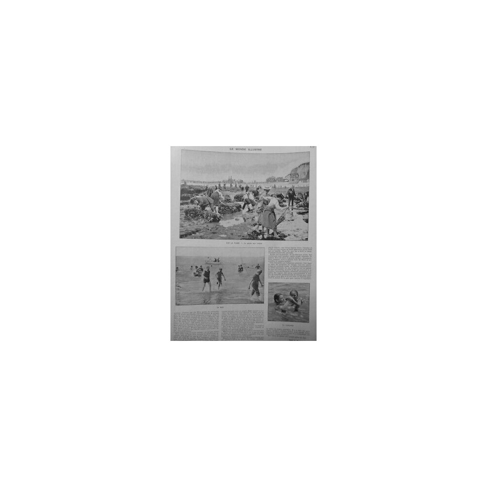 1904 MI PECHE CRABES PLAGE BAIGNADE PLAGE SUR MER