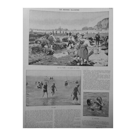 1904 MI PECHE CRABES PLAGE BAIGNADE PLAGE SUR MER