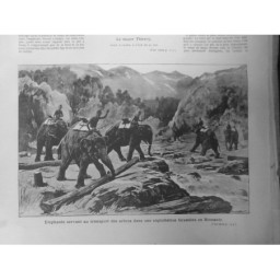 1891 1906 ELEPHANT TRAVAIL ASIE  3 JOURNAUX