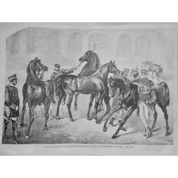 1860 UI CHEVAL ETALON EMPEREUR RUSSIE PRESENT EMPEREUR NAPOLEON III