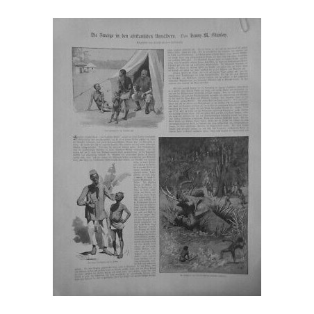 1853 JARDIN ACLIMATATION AFRIQUE ALLEMAGNE ESCLAVE CHASSE ELEPHANT