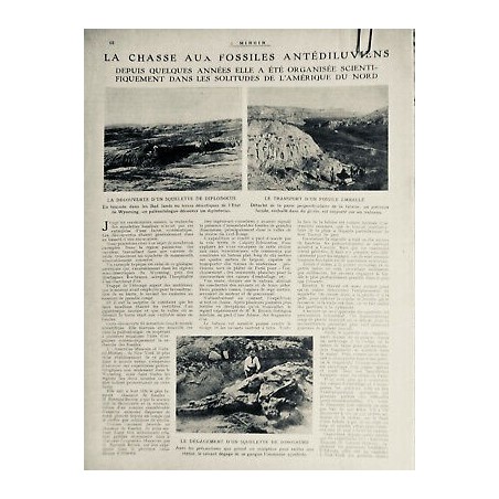 1919 LM DINOSAURE FOSSILES ANTEDILUVIENS SQUELETTE DIPLODOCUS TRANSPORT