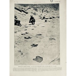 1924 I DINOSAURE EMPREINTES PREHISTORIQUE MONTAGNES ALASKA BERNHEIMER