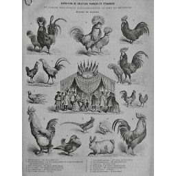 1863 MI PARIS BOIS BOULOGNE JARDIN ZOOLOGIQUE EXPOSITION VOLATILES POULE COQ