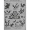 1863 MI PARIS BOIS BOULOGNE JARDIN ZOOLOGIQUE EXPOSITION VOLATILES POULE COQ