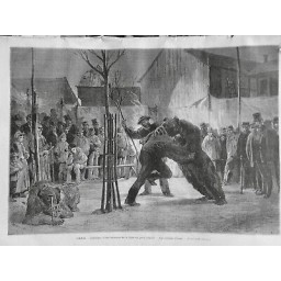 1875 MI CIRQUE PARIS FOIRE PAIN EPICE COMBAT OURS HOMME MUSELIERE