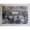 1887 I TOULOUSE GUERRE MOBILISATION REQUISITION CHEVAUX BOULEVARD ARSENAL