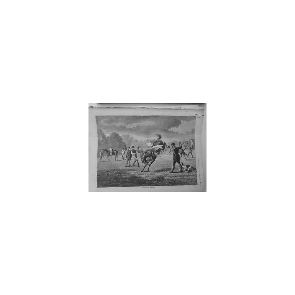 1874 I DRESSAGE YEARLINGS