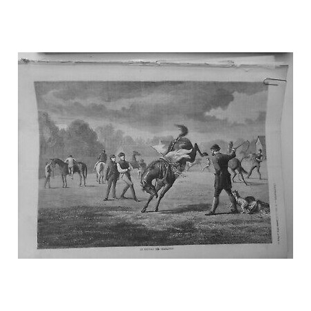 1874 I DRESSAGE YEARLINGS