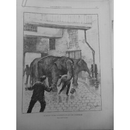 1889 IE ENFANT TUE ELEPHANT RUES BRUXELLES DESSIN H.CASSIERS