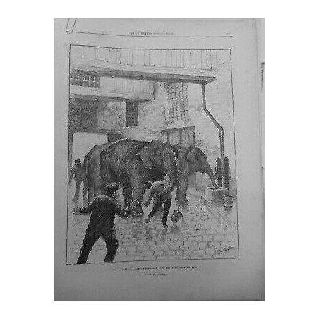 1889 IE ENFANT TUE ELEPHANT RUES BRUXELLES DESSIN H.CASSIERS