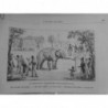 1885 ELEPHANTS SAVANTS "BABA" DRESSEUR FOUET