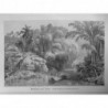 1880 GRAVURE INDONESIE ILE JAVA BAMBOUS FLEUVE PIROGUE