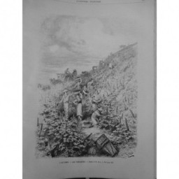 1885 VENDANGES VIGNES CUEILLETTE AUTOMNE