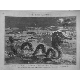 1881 MI SERPENT MER DESSIN M.HAENEN