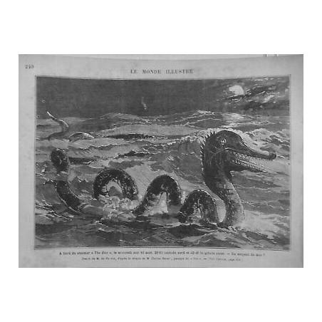 1881 MI SERPENT MER DESSIN M.HAENEN