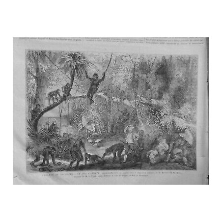 1872 OFFENBACH ROI CAROTTE ÎLE SINGES LIANES VEGETATION