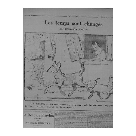 1914/1918 CHIEN SANITAIRE MISSION CROIX-ROUGE SAUVETAGE CHAT