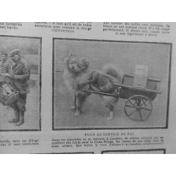 1914/1918 CHIEN SANITAIRE TRANCHEE LONDRES VOITURETTE FONDS CROIX-ROUGE