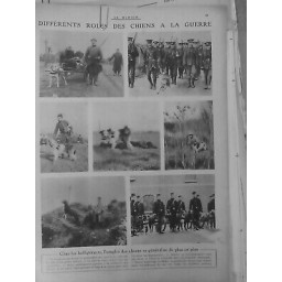 1914/1918 CHIEN SANITAIRE TRANSPORT VIVRES MUNITIONS FLAIR AMBULANCIER