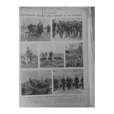 1914/1918 CHIEN SANITAIRE TRANSPORT VIVRES MUNITIONS FLAIR AMBULANCIER