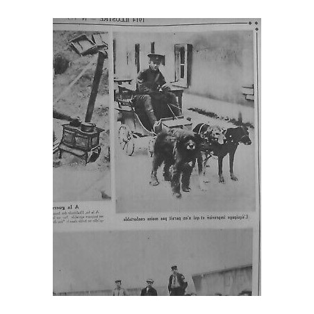 1914/1918 CHIEN SANITAIRE EQUIPAGE VOITURETTE SOLDAT CONFORT