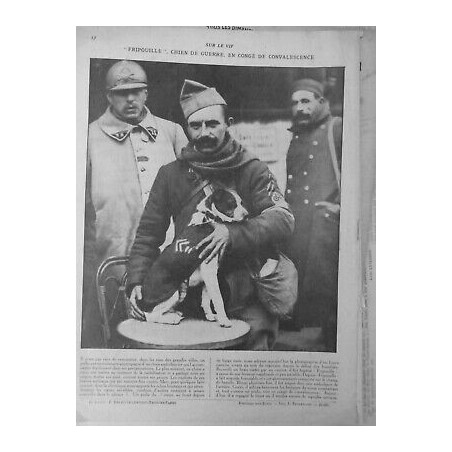 1914/1918 CHIEN SANITAIRE FRIPOUILLE BLESSURE CONVALESCENCE SOIN