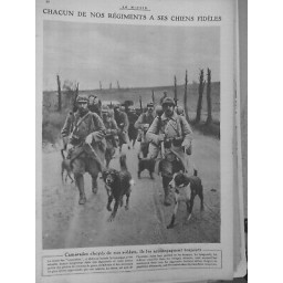 1914/1918 CHIEN SANITAIRE CAMARADE AMI COMPAGNON REGIMENT