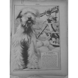 1914/1918 CHIEN SANITAIRE GARDIEN MITRAILLEUSE TRANCHEE MONTER GARDE