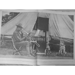 1914/1918 CHIEN SANITAIRE CAMP AMERICAIN SAMMY CONCERT MASCOTTE REGIMENT